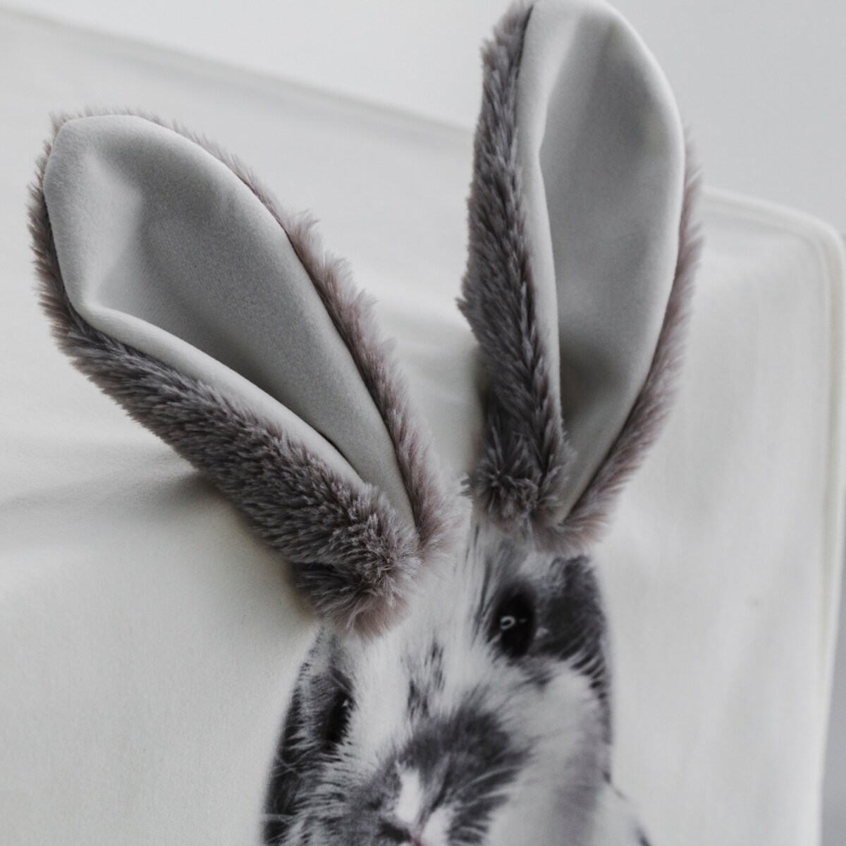 Bieżnik Rabbiears 35x180