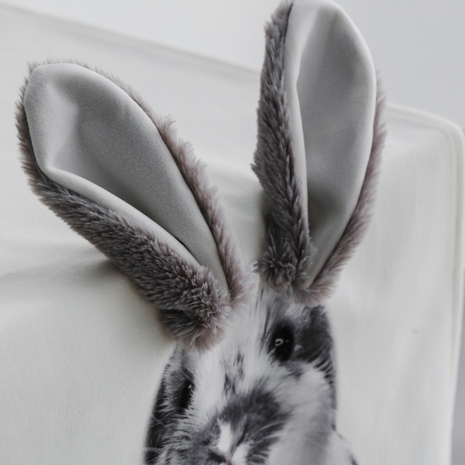 Bieżnik Rabbiears 35x180