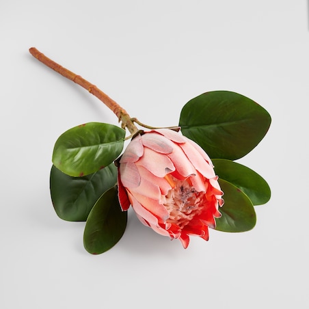 Kwiat Rovis z motywem roślinnym