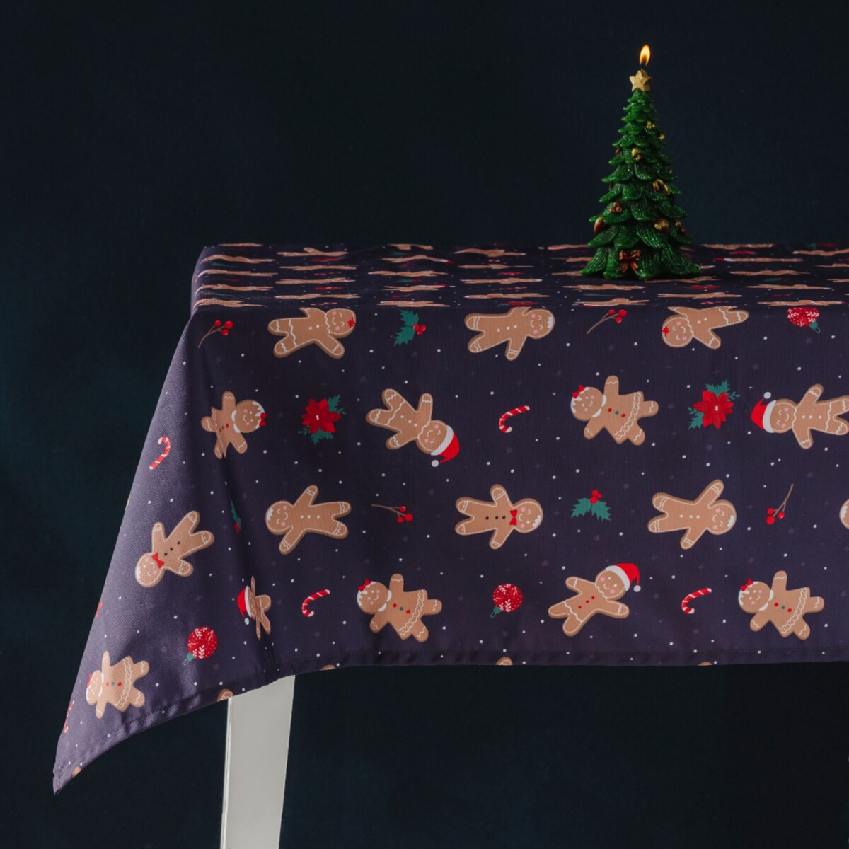 Cerata Gingersky 100x160