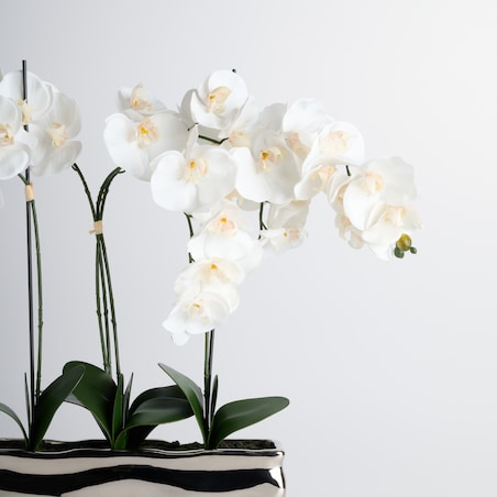 Stroik Orchianum big z motywem roślinnym