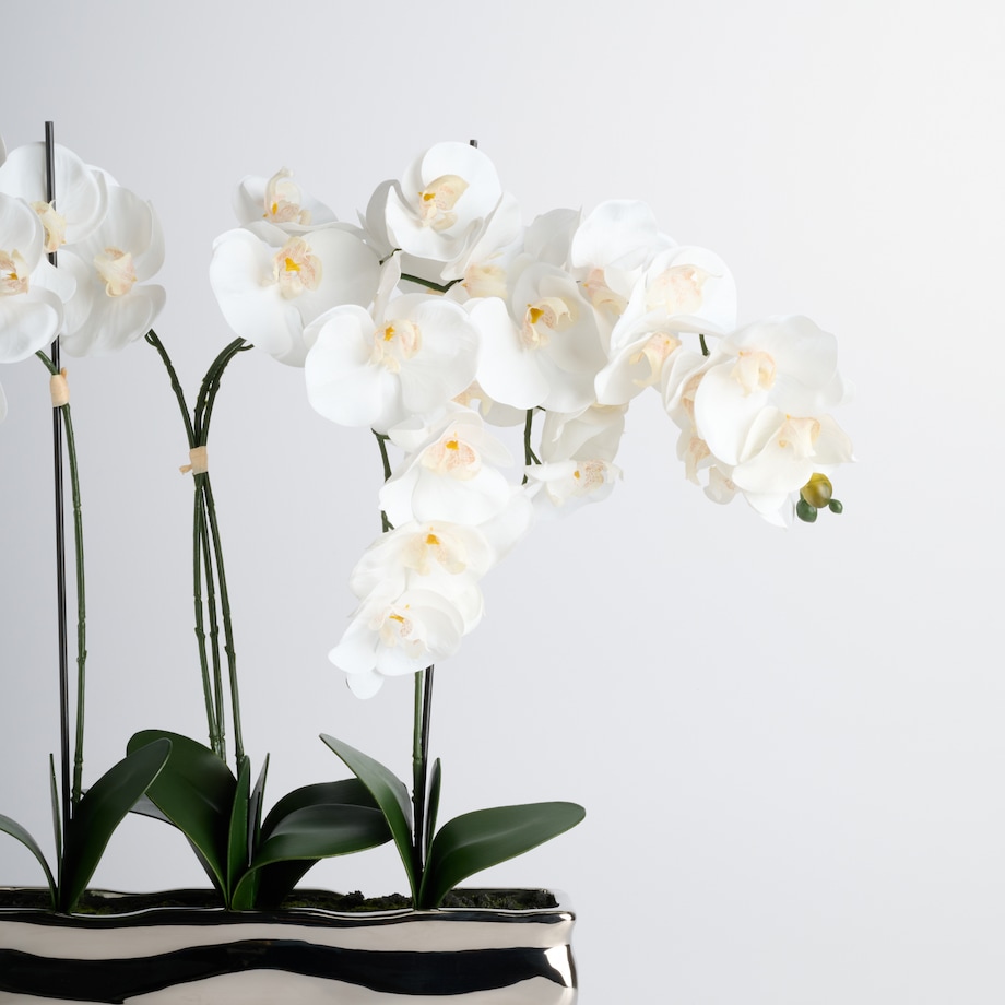 Stroik Orchianum big z motywem roślinnym