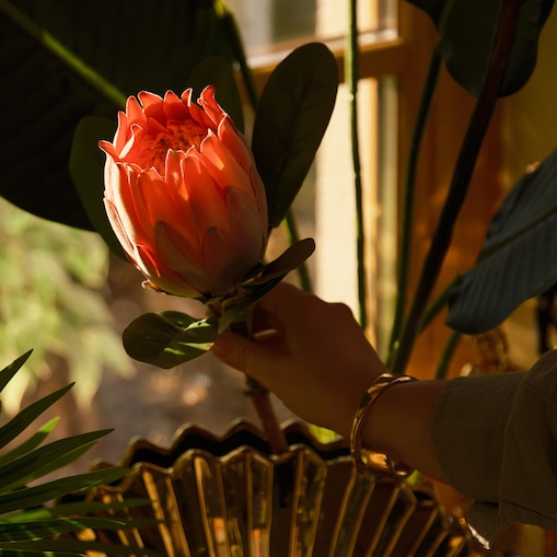 Kwiat Rovis z motywem roślinnym