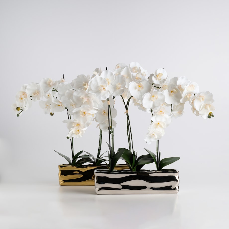 Stroik Orchianum big z motywem roślinnym