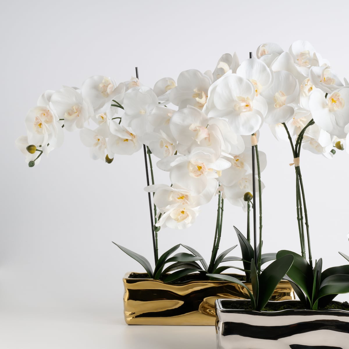 Stroik Orchianum big z motywem roślinnym