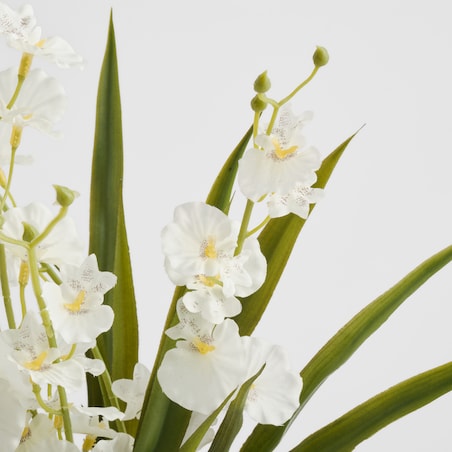 Stroik Lunelia z motywem roślinnym