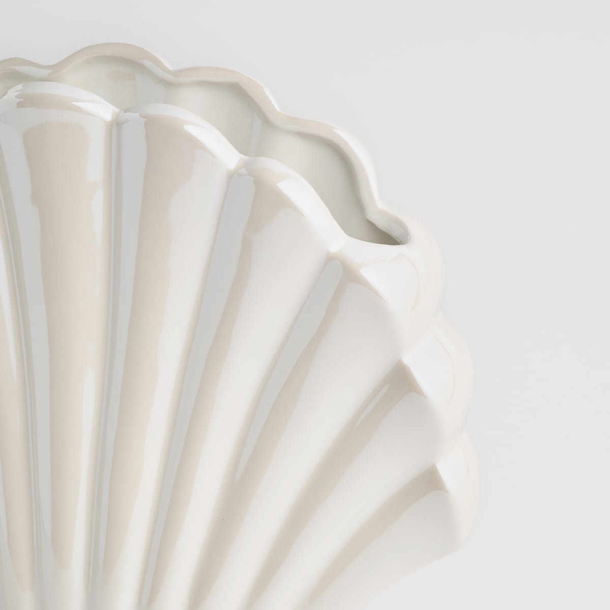 Wazon Seashell