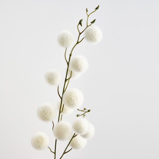 Kwiat Divinos z motywem roślinnym