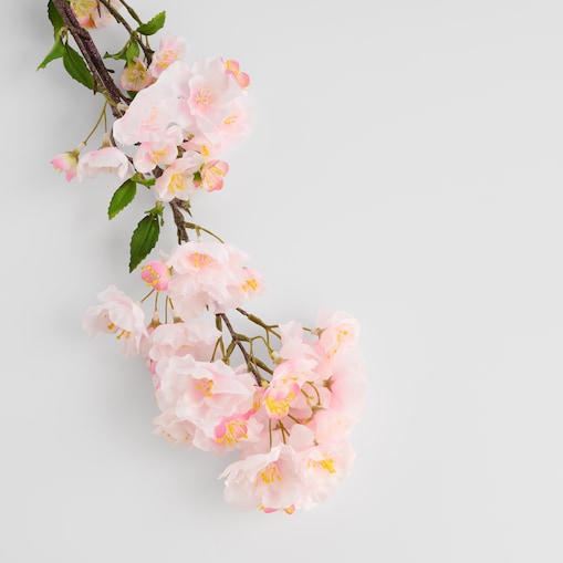 Kwiat Cerezo z motywem roślinnym