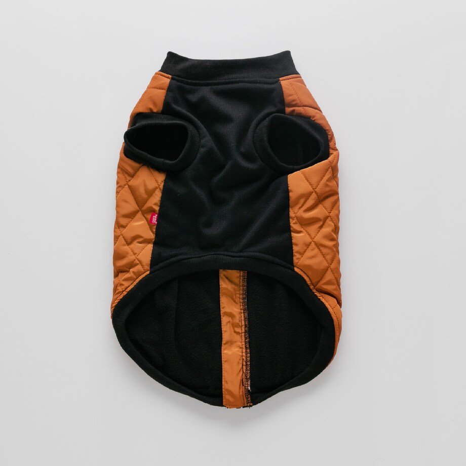 Ubranko Dla Zwierzaka Celio