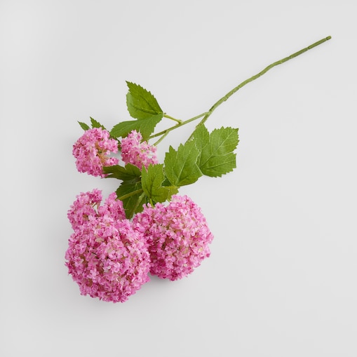 Kwiat Serosa z motywem roślinnym