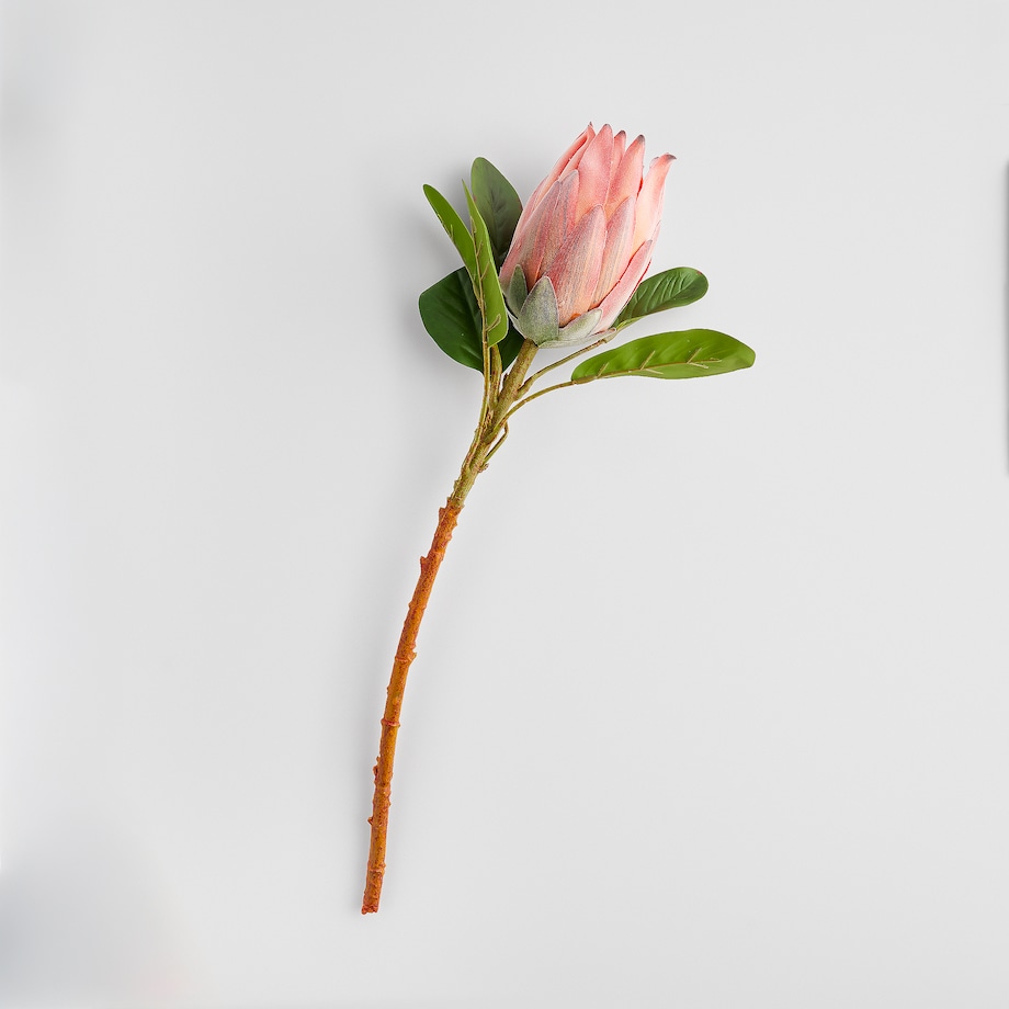 Kwiat Rovis z motywem roślinnym