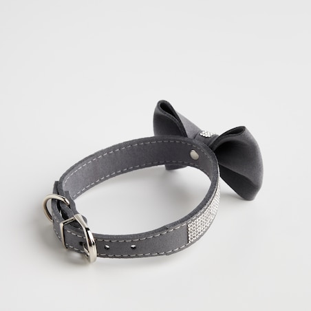 Obroża dla zwierząt Astri