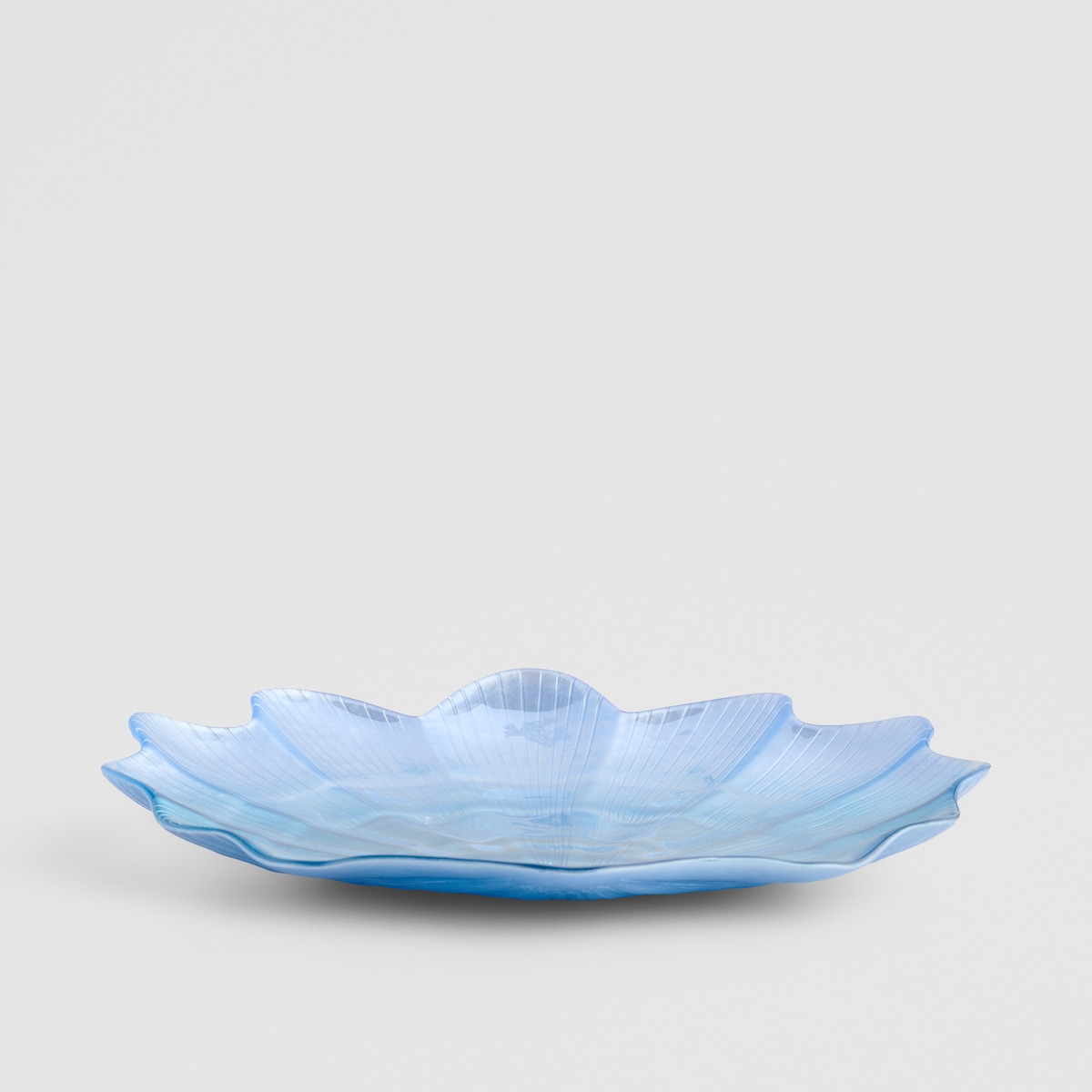 Patera Shellini