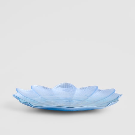 Patera Shellini