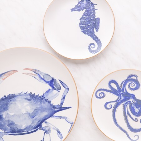 Patera Seahorsi