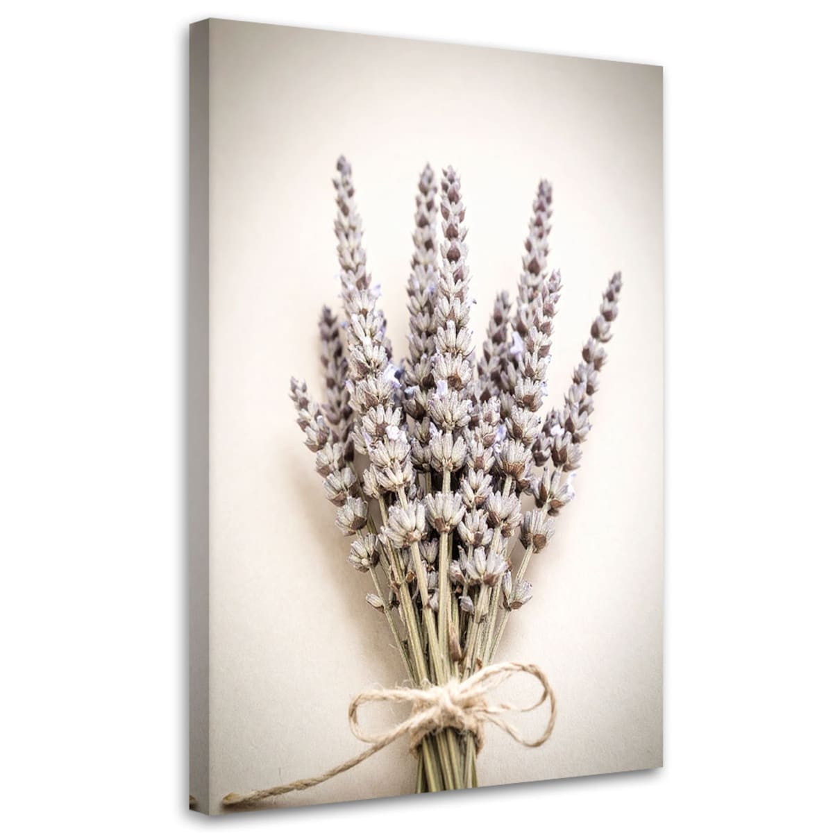 Obraz do salonu kuchni jadalni,Rośliny natura boho 60x90