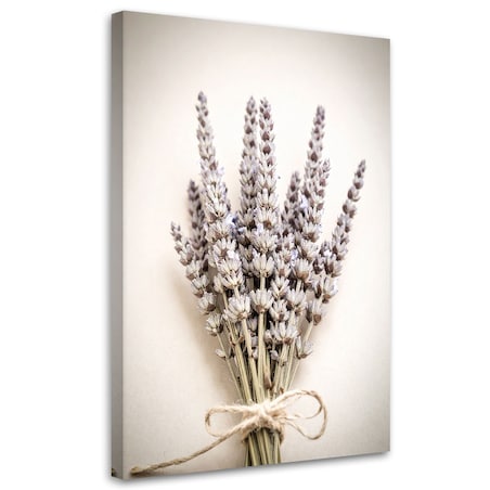 Obraz do salonu kuchni jadalni,Rośliny natura boho 60x90