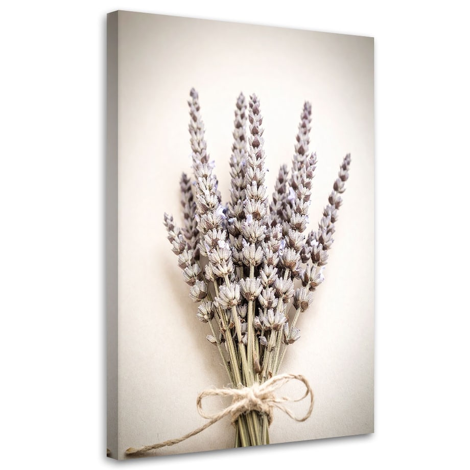 Obraz do salonu kuchni jadalni,Rośliny natura boho 60x90