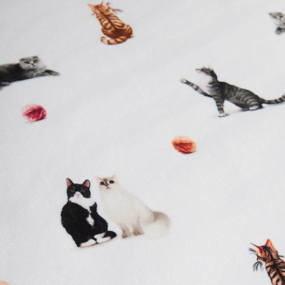 Poszewka z nadrukiem Gattino 45x45 cm z motywem zwierzęcym