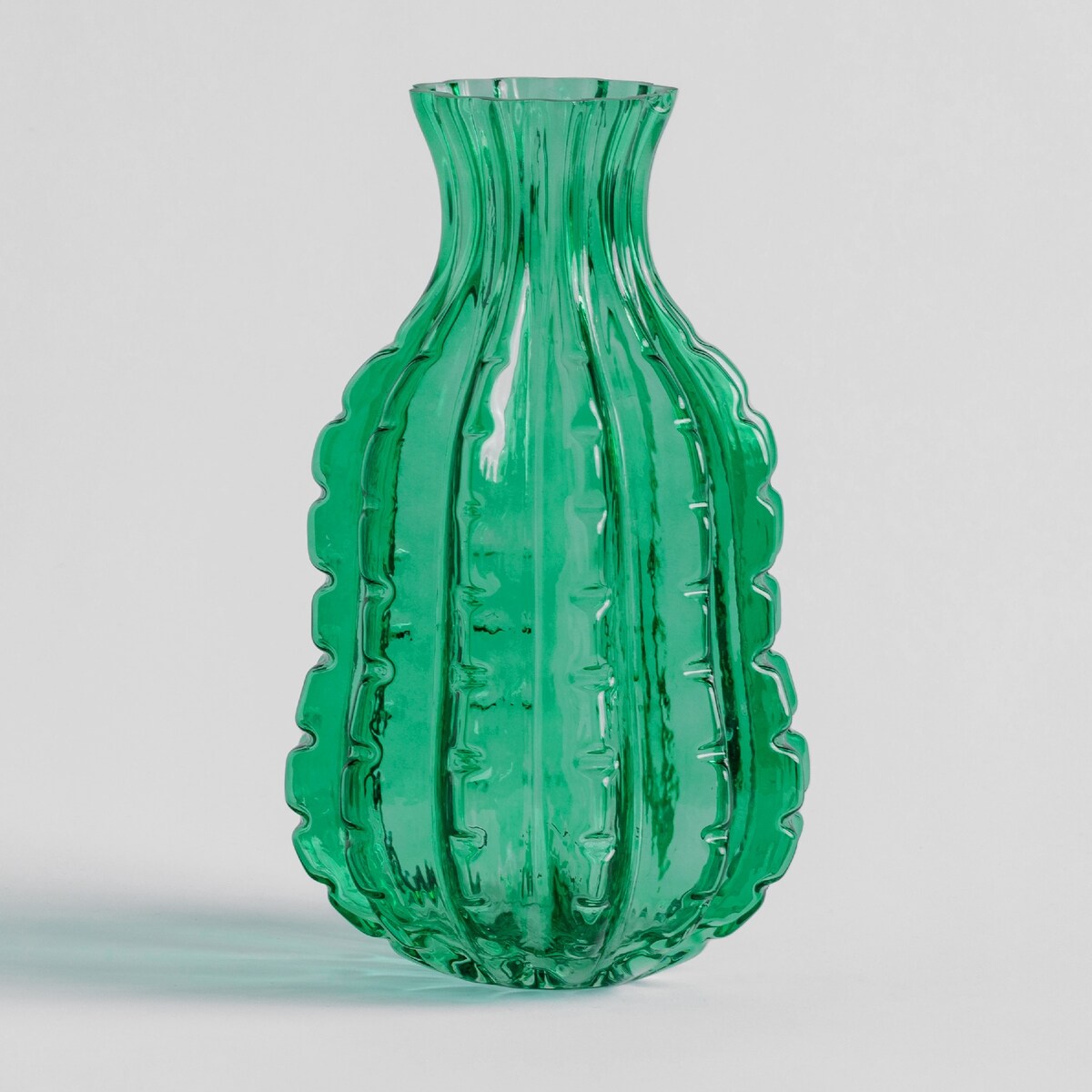 Vase Aloe New 