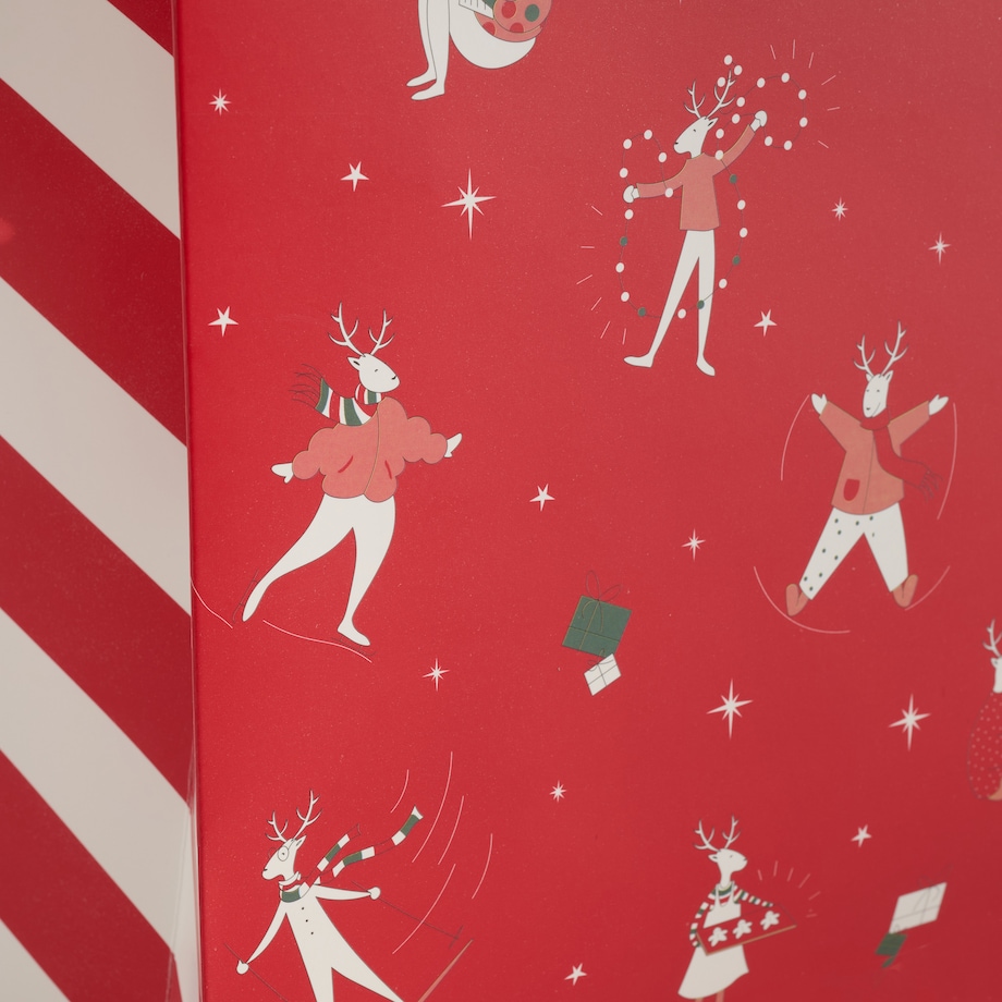 Torba Prezentowa Olinerini