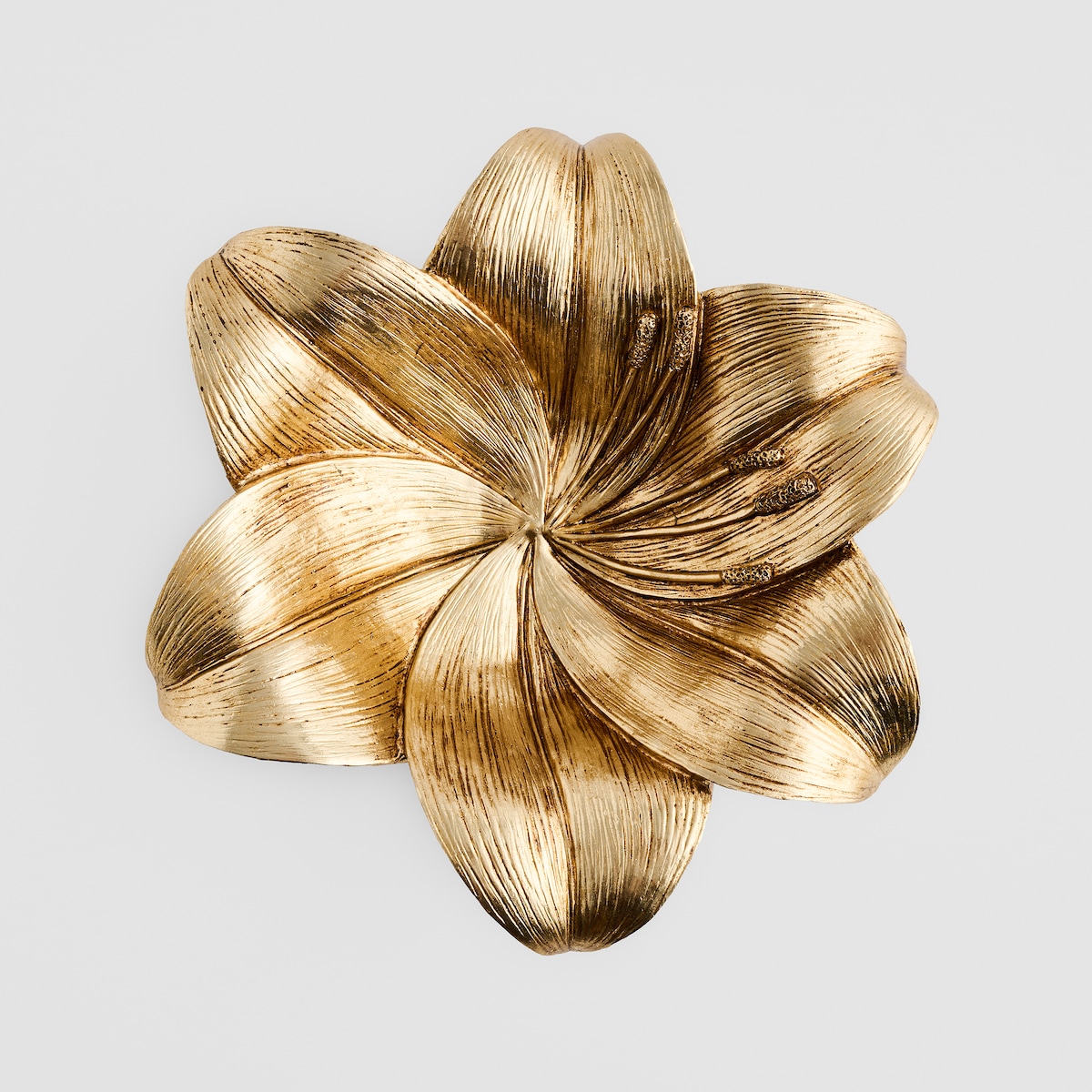 Misa Dekoracyjna Rocelia