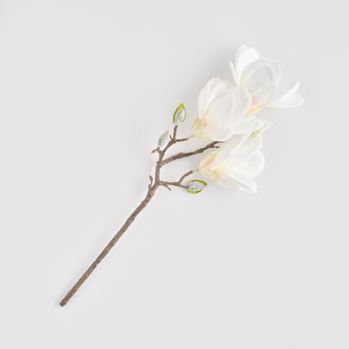 Kwiat Magnosi z motywem roślinnym