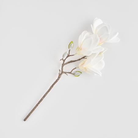 Kwiat Magnosi z motywem roślinnym