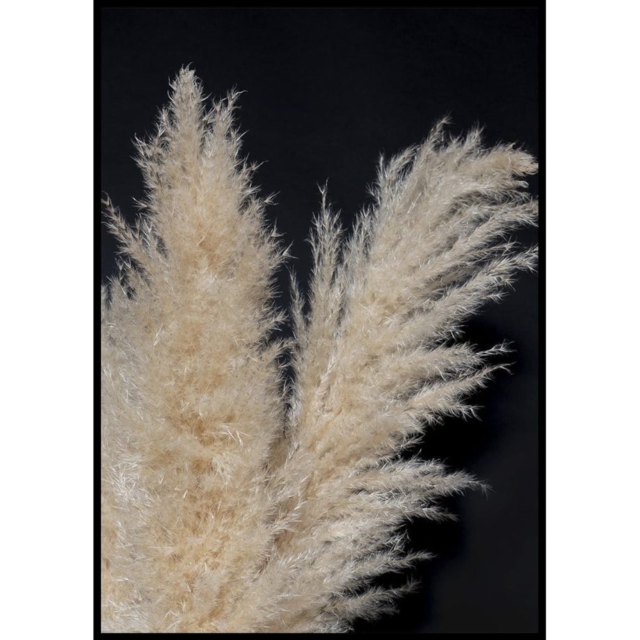 plakat trawa pampasowa 03 30x40 cm