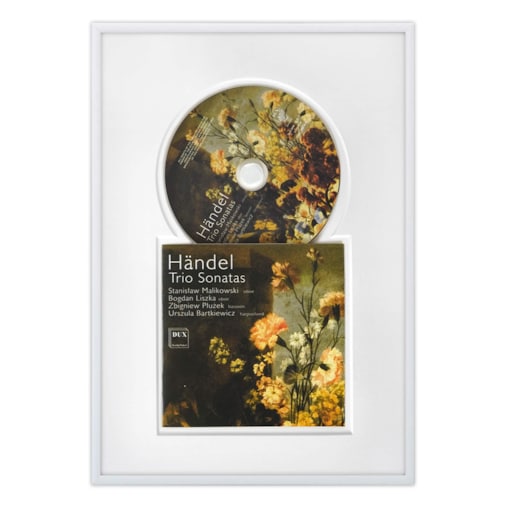 Ramka na płytę CD Ramka aluminiowa o rozmiarze 21x30 cm LUCA