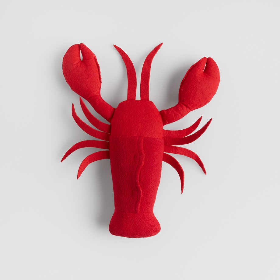 Zabawka Dla Zwierzaka Crabo