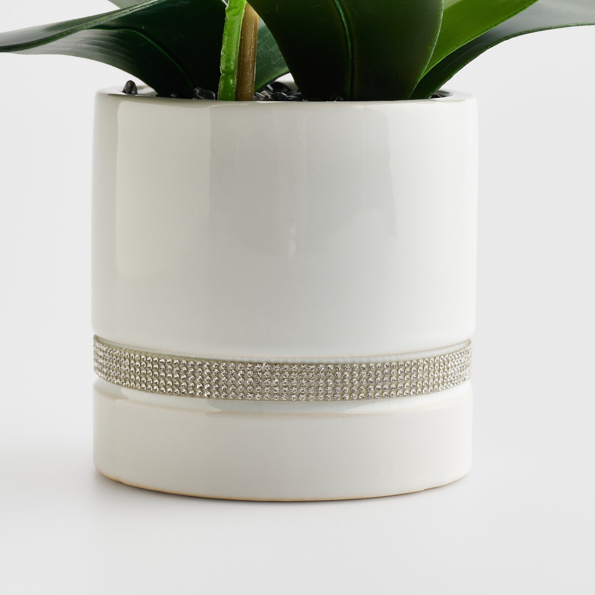 Stroik Orchibitto new z motywem roślinnym