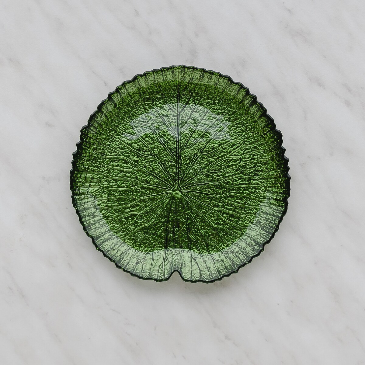Patera Catio