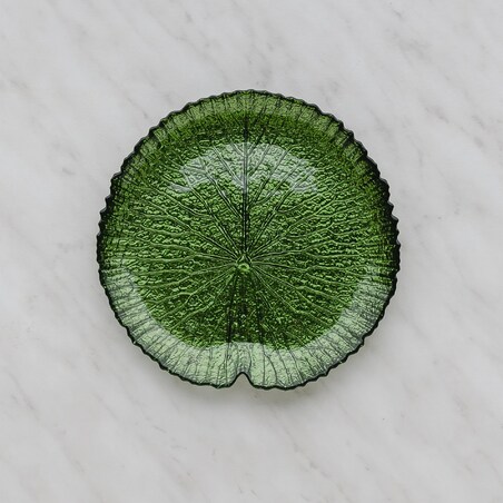 Patera Catio
