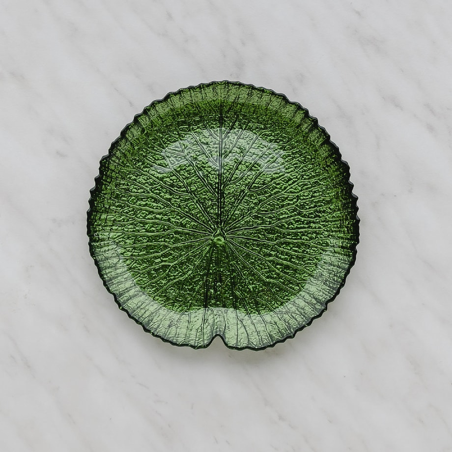 Patera Catio
