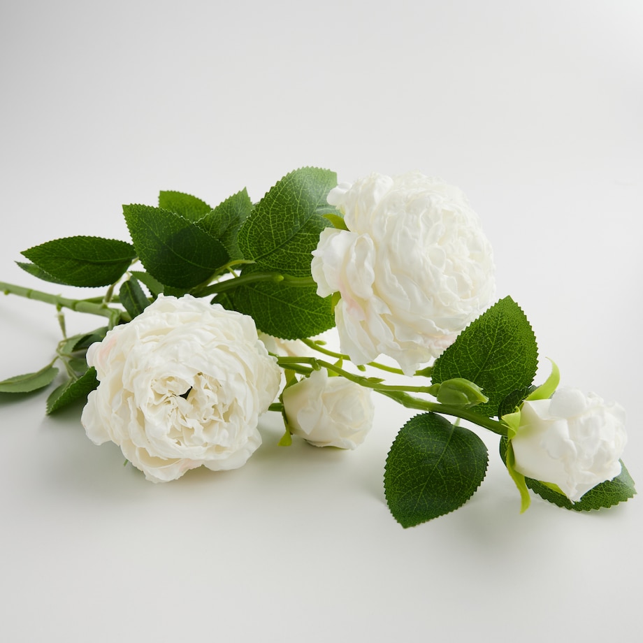 Kwiat Peoni z motywem kwiatowym