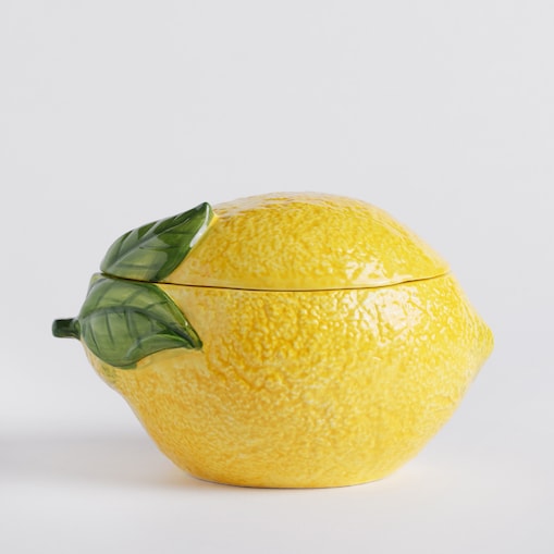 Pojemnik Lemoni 