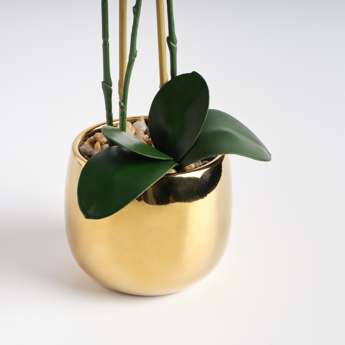 Stroik Orchanes z motywem roślinnym