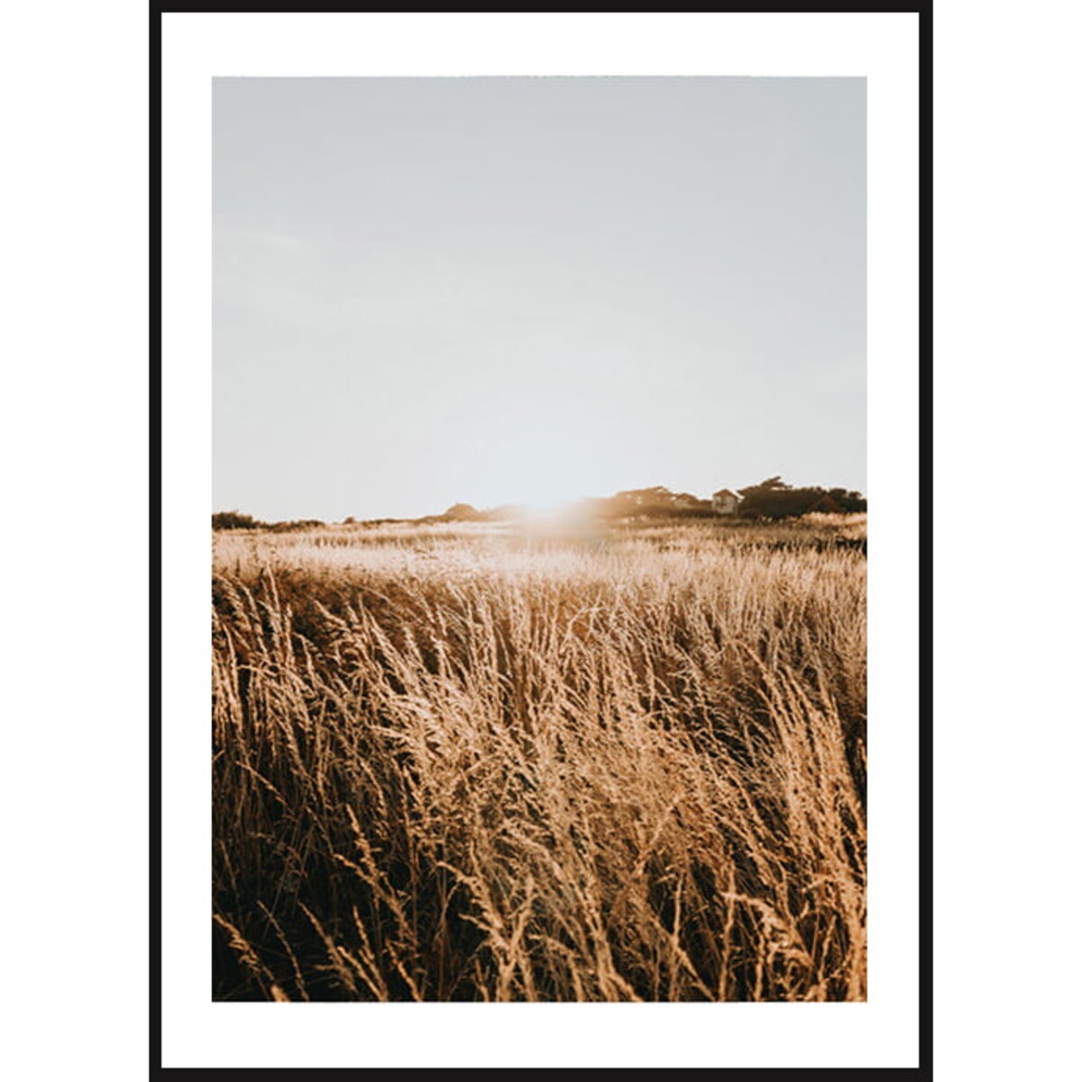 Poster Story, Plakat, Obraz - Zachód Słońca na Łące