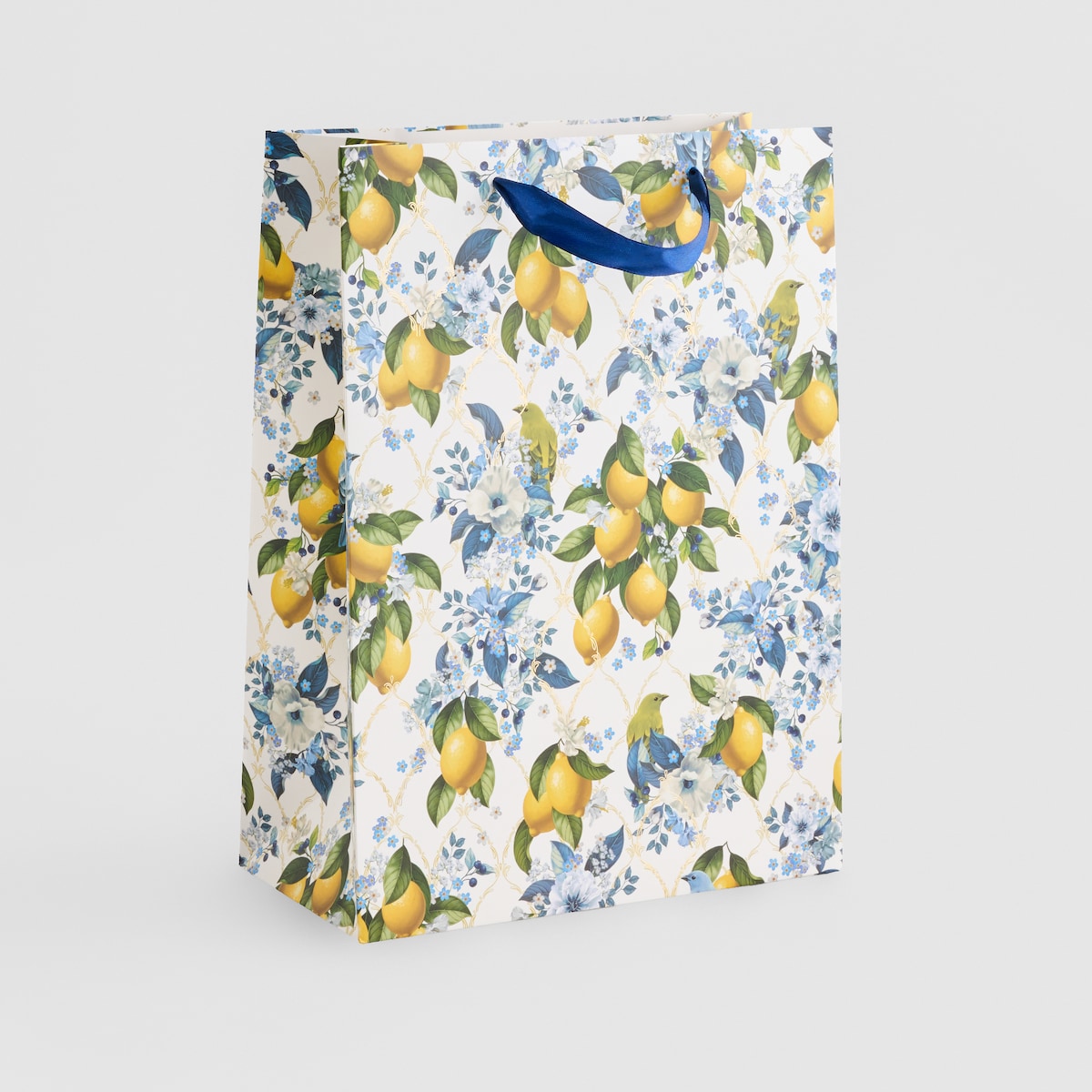 Torba Prezentowa Lemondi