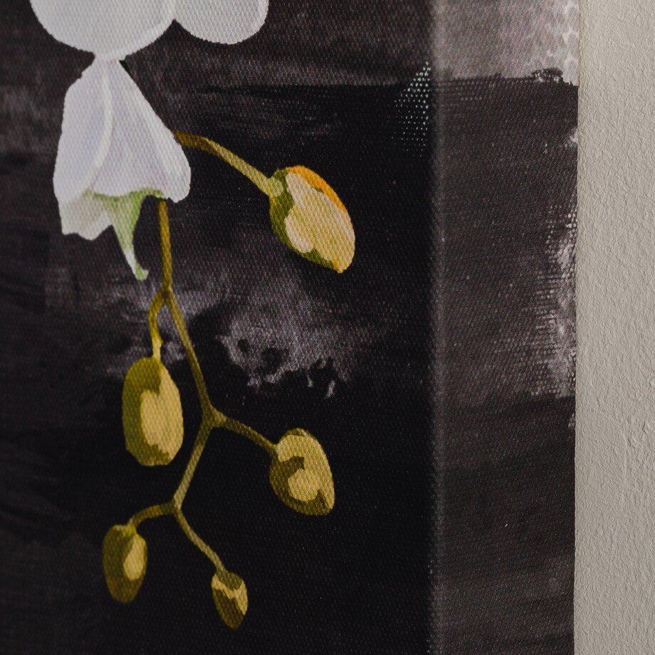Painting Orchidios 
