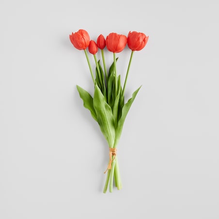 Bukiet Tulipanis