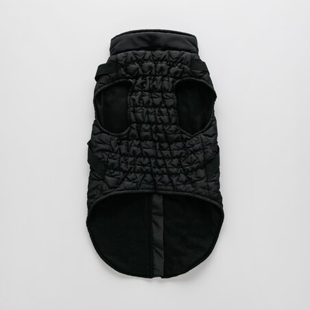 Ubranko Dla Zwierzaka Exterio