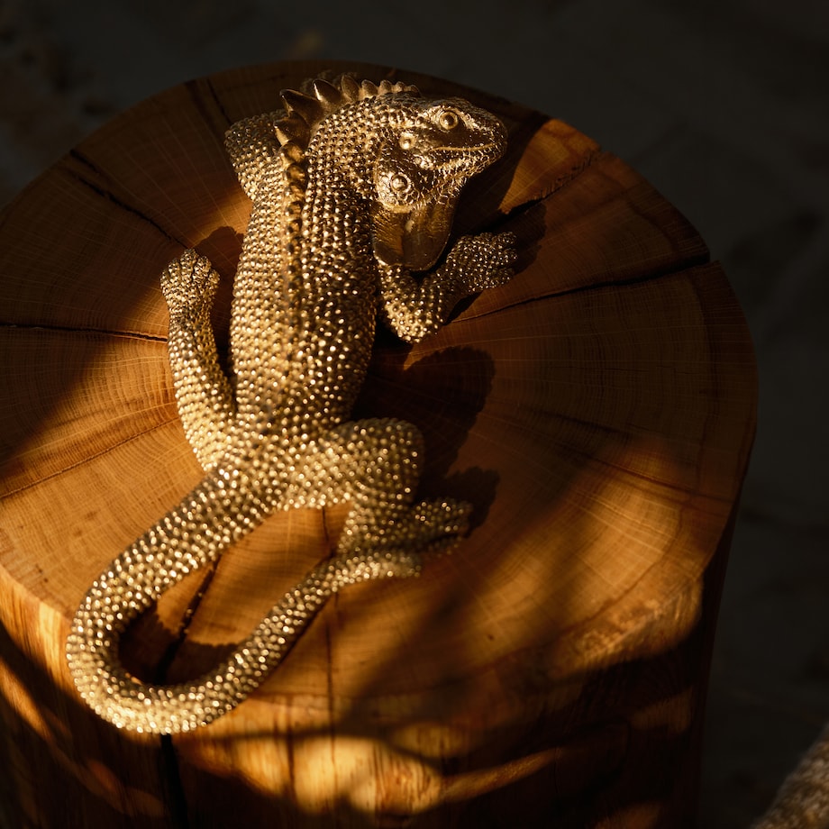 Figurka Iguano