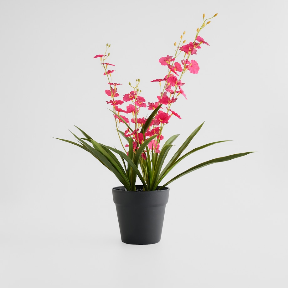 Stroik Lunelia z motywem roślinnym