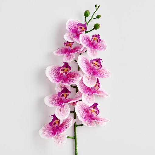 Kwiat Orchstem z motywem roślinnym