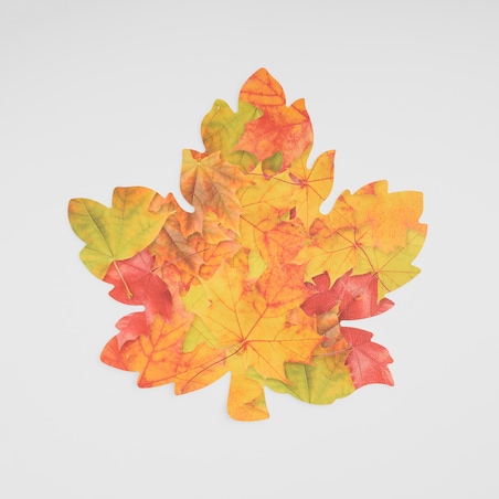 Podkładka Dekoracyjna Autumnia
