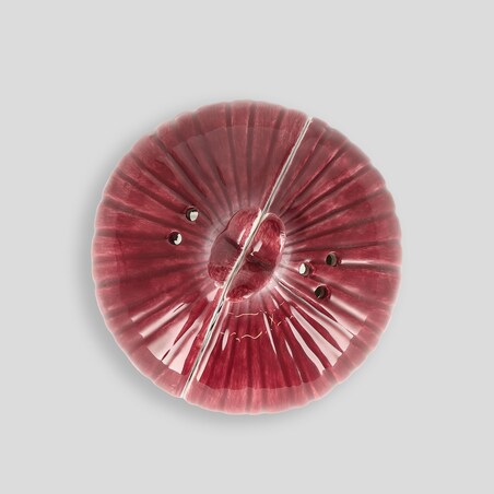 Solniczka I Pieprzniczka Onionella