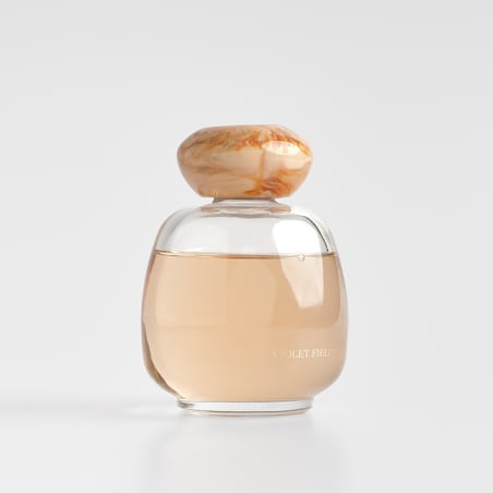 Dyfuzor zapachowy z patyczkami Tint 120 ml